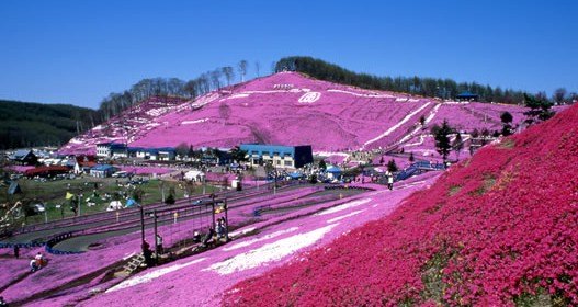 Japan Hokkaido Incentive Trip